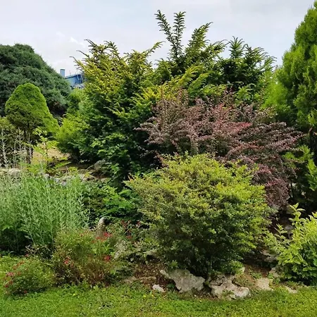 ели Апартамент *