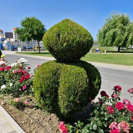 ели Апартамент *