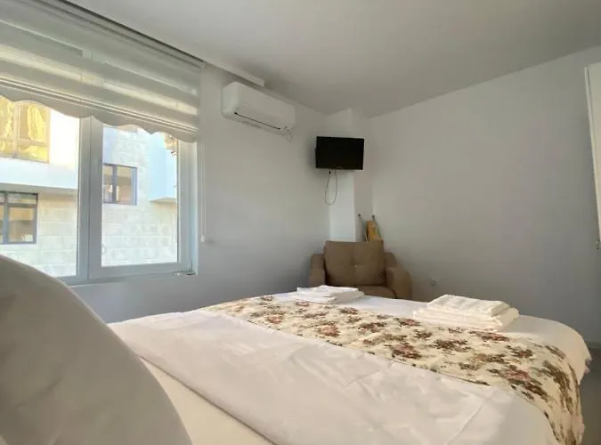 ели * אובזור