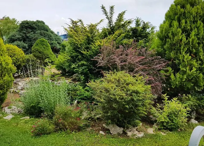 ели アパート *