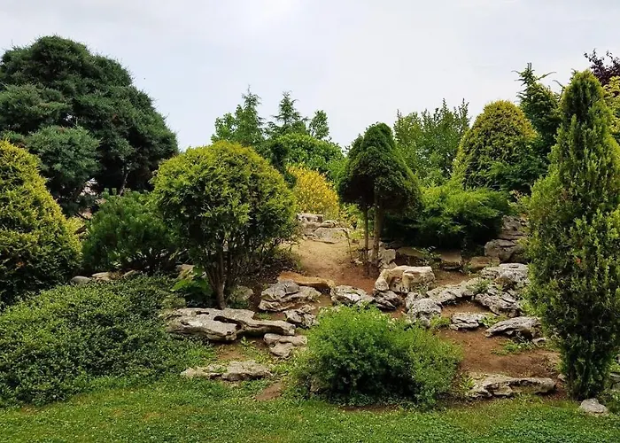 ели * オブゾー