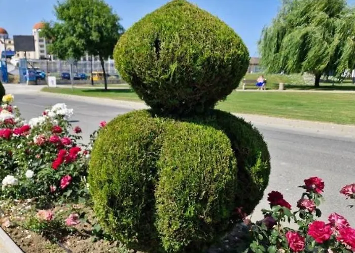 ели アパート *